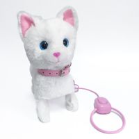 Pasea a Tu Gato Blanco