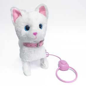 Pasea a Tu Gato Blanco