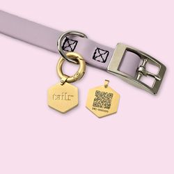 Collar para Perro Pequeño con Código Qr