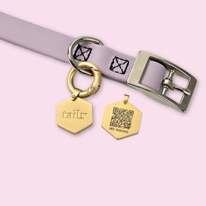Collar para Perro Pequeño con Código Qr