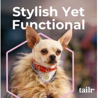 Collar para Perro Mediano con Código Qr Deslizable