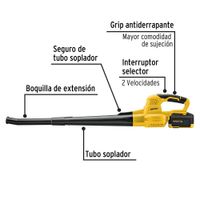 Kit de Sopladora Inalámbrica 20 V