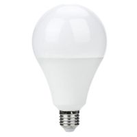 Bombilla Led Blanca De 20 W