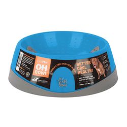 Plato Bowl Turquesa - Lickimat