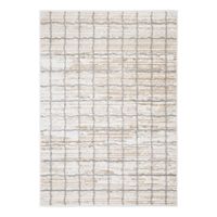 Alfombra Salamanca 240 x 340 Cm