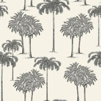 Papel Tapiz Explorer Palmas Blanco 0.53 x 10.05 M
