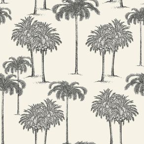 Papel Tapiz Explorer Palmas Blanco 0.53 x 10.05 M