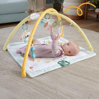 Gimnasio para Bebé Simply Senses Fisher-Price