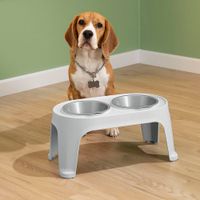 Plato Alto para Perro Mediano - Gris