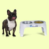 Plato Alto para Perro Mediano - Gris