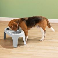 Plato Alto para Perro Mediano - Gris
