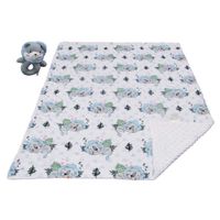 Set de Frazada y Peluche Diseños Surtidos