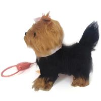 Pasea a Tu Cachorro Yorkshire Terrier