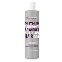 Acondicionador Platinum para Cabello Seco y Opaco 493ml - SYLT Professional