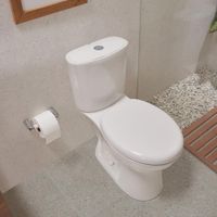 Sanitario de Dos Piezas Aluvia Elongado Blanco