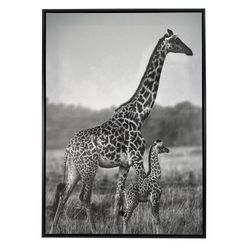 Cuadro Decorativo de Jirafas 50x3x70 Cm