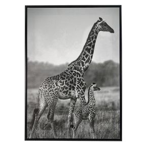 Cuadro Decorativo de Jirafas 50x3x70 Cm