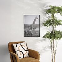 Cuadro Decorativo de Jirafas 50x3x70 Cm