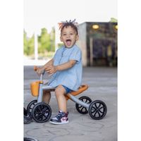 Bicicleta Quadie Con Canasta - Chillafish