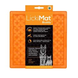 Plato Naranja Plano - Lickimat