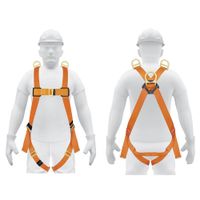 Arnés de Cuerpo Completo de 3 Anillos