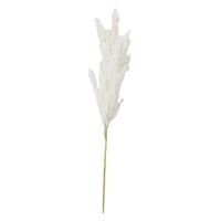 Ramo Decorativo 18x18x56 Cm - Concepts
