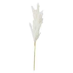 Ramo Decorativo 18x18x56 Cm - Concepts