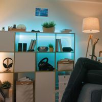 Manguera LED RGB 5 M
