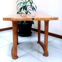 Mesa Plástica Estilo Madera Sándalo