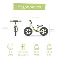 Bicicleta Charlie Deportiva Verde - Chillafish