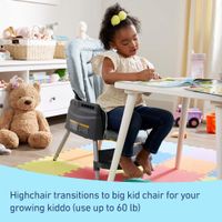 Silla Alta Convertible 5 en 1 Ajustable para Bebé a Niño Hudson