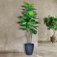 Planta Con Pote 110 Cm