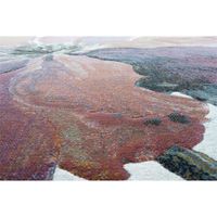Alfombra Moderna de Área Argentum Multicolor 160x230 Cm