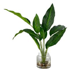 Planta Decorativa con Pote 32x32x40 Cm - Concepts