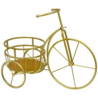 Bicicleta de Metal Dorada para Maceta 47X22X36.5 Cm