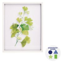 Cuadro con Diseño de Hojas Diseños Surtidos
