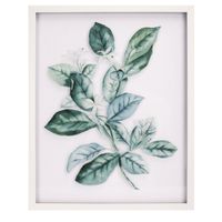 Cuadro con Diseño de Hojas Diseños Surtidos