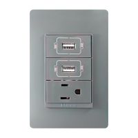 Tomacorriente de USB Doble Grafito