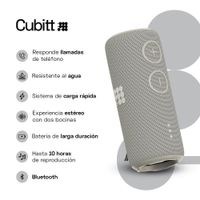 Bocina Portátil Power Plus Gris