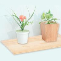 Repisa C/Soporte 60 Cm X 25 Cm - Fixer