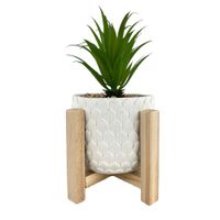 Planta Decorativa 14x14x24 Cm - Concepts