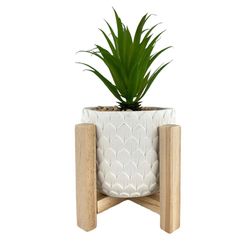 Planta Decorativa 14x14x24 Cm - Concepts