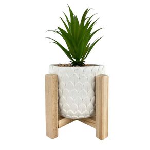 Planta Decorativa 14x14x24 Cm - Concepts