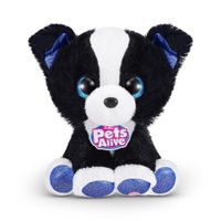 Rescate de Cachorro Pets Alive