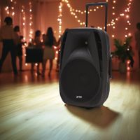 Bocina Alámbrica Portátil Vertical de 250 W