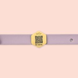 Collar para Perro Pequeño con Código Qr Deslizable