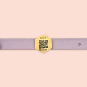 Collar para Perro Pequeño con Código Qr Deslizable