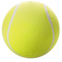 Pelota-Inflable-Biggie-Bouncerz-
