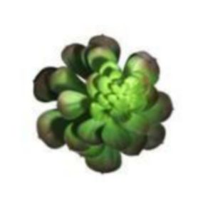 Tallo Cactus 18 Cm - Concepts