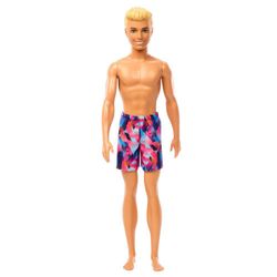 Barbie Muñeco Ken De Playa